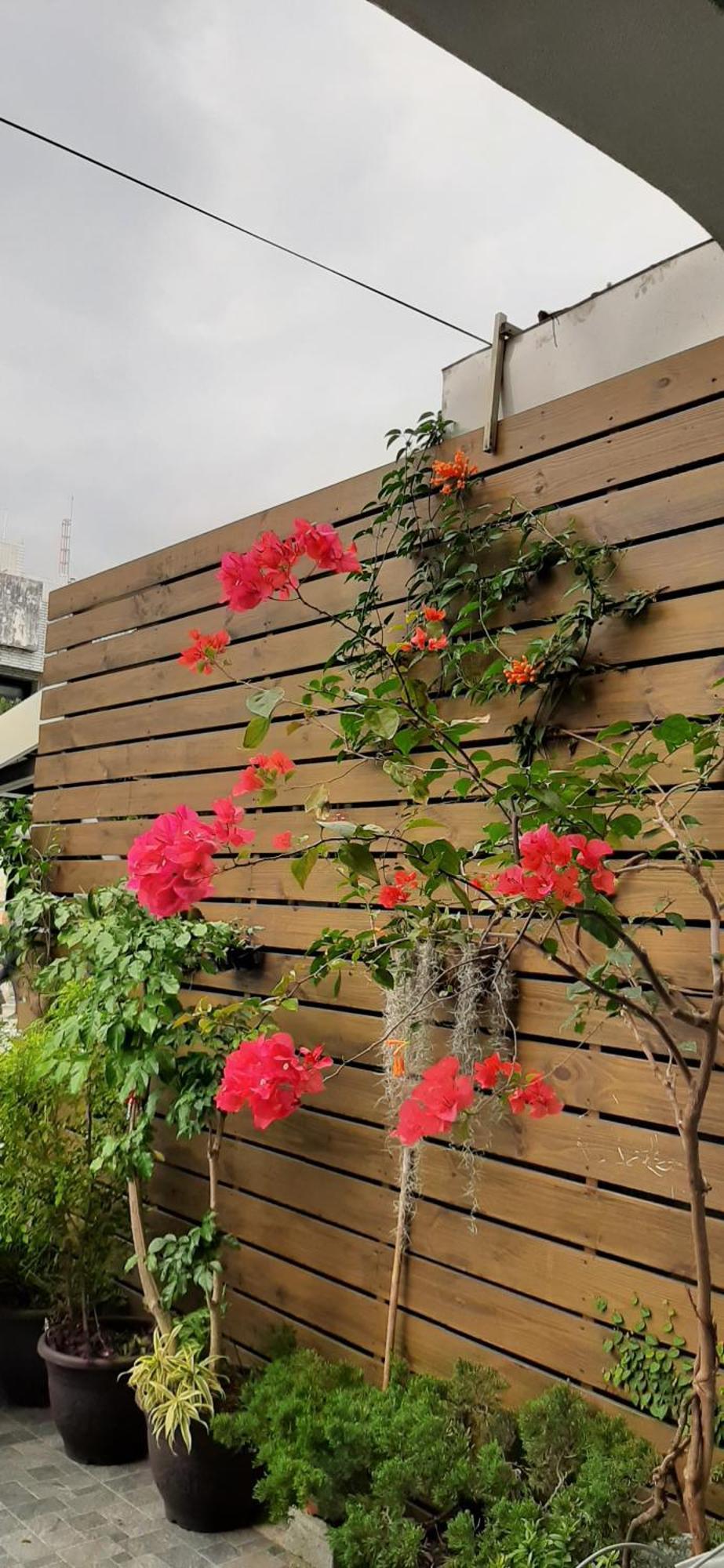 500Km Home Hualien City Exterior foto